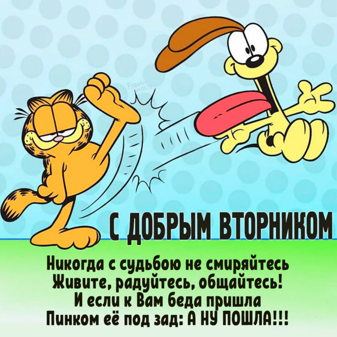 Ура вторник картинки