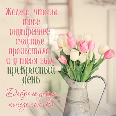 Счастливого вторника ты крутой Ежедневное утреннее вдохновение ежедневная  утренняя мотивация Иллюстрация штока - иллюстрации насчитывающей  мотивировка, кафетерий: 163191993