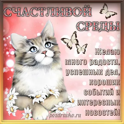 Удачной и хорошей вам среды, друзья!... | пожелания, Новости Казахстана -  свежие новости РК КЗ на сегодня | Bestnews.kz