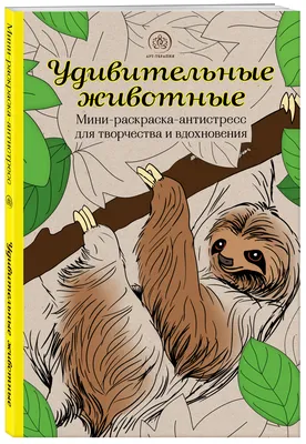 ГТРК \"Смоленск\". Новости. Новый сезон шоу «Удивительные люди» объединит 20  регионов