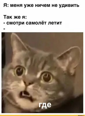 Удивление смешные