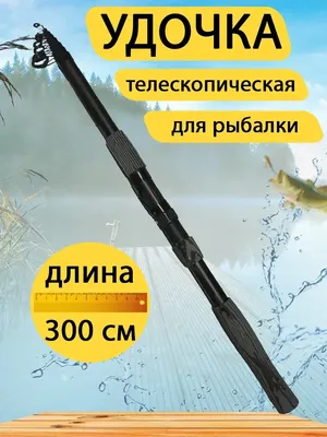 Удочка телескопическая 3 метра. Удилище для рыбалки GC-Famiscom 36583983  купить за 745 ₽ в интернет-магазине Wildberries