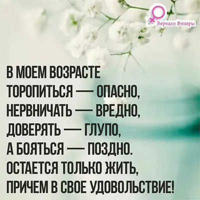 Живите в свое удовольствие! | Цитаты о вдохновении, Самые смешные цитаты,  Цитаты