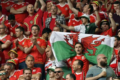 Сборная Уэльса может переехать на футбольный стадион