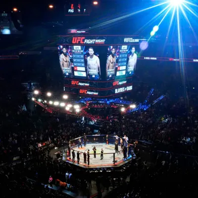 Махачев разобьёт главного бойца UFC. Ислам станет лучшим на планете!