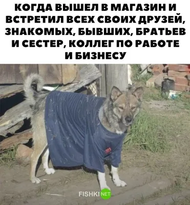 https://dzen.ru/a/YW2LBMaEfXxsJw5e