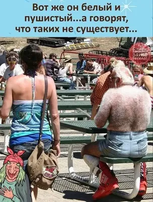 Угарные презентации в школе)) | Пикабу