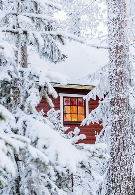 Приветствую всех моих друзей👋🏻 Всем вам желаю прекрасного волшебного  зимнего месяца и уютной зимы,прям как на этих кадрах😊💛 💫I wish all… |  Instagram