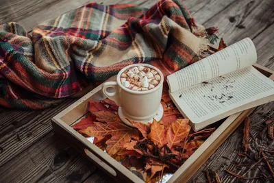 Пин от пользователя 🔱L🔱 на доске Уютная осень | Осень, Осенние  изображения, Осений дом