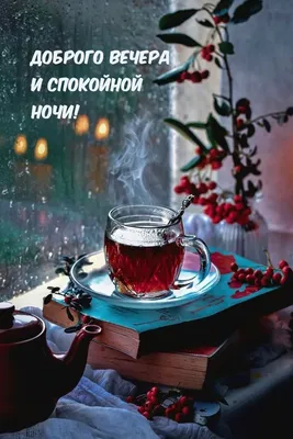 ❄️Уютной атмосферы и душевного вечера🤗 ❄️ Искренне желаем вам приятного  вечера, наполненного уютом, искренней.. | ВКонтакте