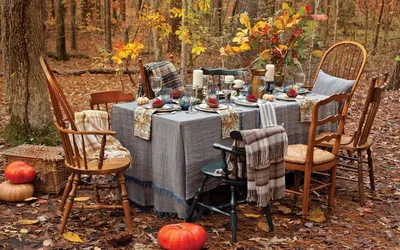 Осенний декор: 7 идей для создания уютной и стильной обстановки в вашей  квартире | Дизайнер интерьера | Дзен