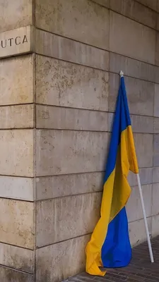 украинский флаг и герб с лозунговой славой к украине на украинском языке.  Иллюстрация вектора - иллюстрации насчитывающей приветствие, знаки:  242899905