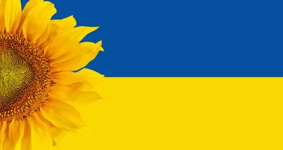 Шаблон наклейки с украинской символикой бесплатно | Vizitka.com | ID62530