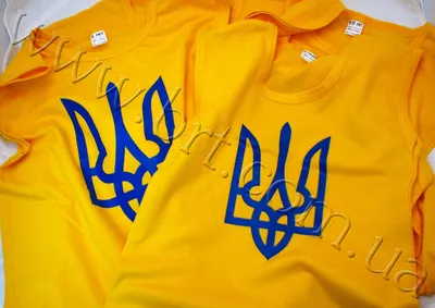 Вязаная футболка с украинской символикой — цена 980 грн в каталоге Футболки  ✓ Купить женские вещи по доступной цене на Шафе | Украина #94989003