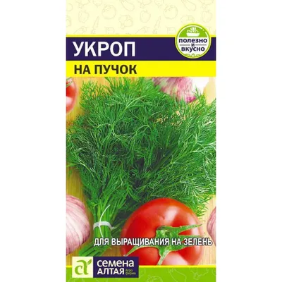 Семена зелени Укроп Аллигатор купить в Украине | Веснодар