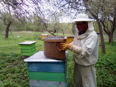 Улей аббата Варрэ с планками