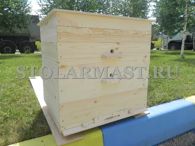 Какой улей выбрать начинающему пчеловоду - обзор идеального комплекта от  STOLARMAST.RU