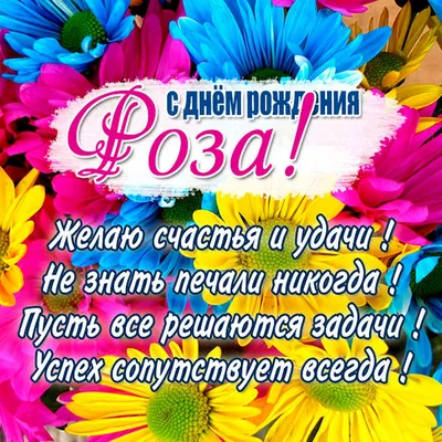 С Днём Рождения Ульяна!💜 Именно с Ульяны 4 года назад начался Домик  Мелкашей🙏🏼 | Домик Мелкашей - приют маленьких собак | Дзен