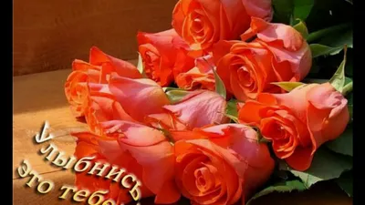 🌹💖Тебе Приветик Улыбнись В Ответик!💖🌹Красивая Песня!Музыкальная  Открытка Пожелание - YouTube