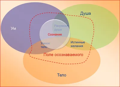 Ваш ум такой острый, что можно порезаться, если осилите 8/10 - ТЕСТ -  AmurMedia.ru