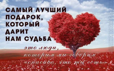 Что такое любовь: 30 цитат о любви писателей и поэтов | Гол.ру