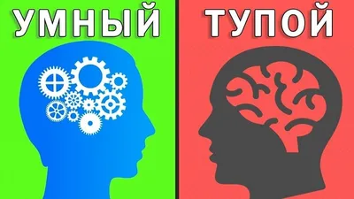 Почему мы тупые и умные? | Meyker | Дзен