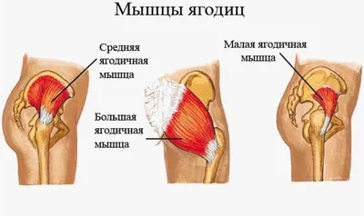 Топ-6 упражнений для ног и ягодиц без приседаний и выпадов (полностью стоя,  безопасно для коленей) | Фитнес с GoodLooker | Дзен