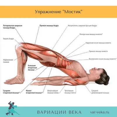 Фитнес, Дома И Диеты Концепции - Улыбается Девушка Делает Физические  Упражнения Для Ног И Ягодиц На Этаже Дома Фотография, картинки, изображения  и сток-фотография без роялти. Image 35285569