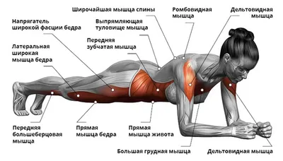 Эффективные упражнения для похудения топ-10 - Новости на KP.UA