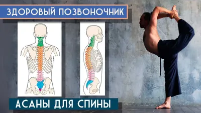 Комплекс полезных упражнений для укрепления мышц спины