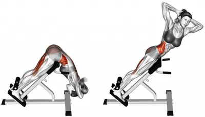 Комплекс упражнений, направленный на укрепление мышц спины и улучшение  подвижности позвоночника. Добавл… | Упражнения, Мышцы спины, Упражнения для  укрепления спины