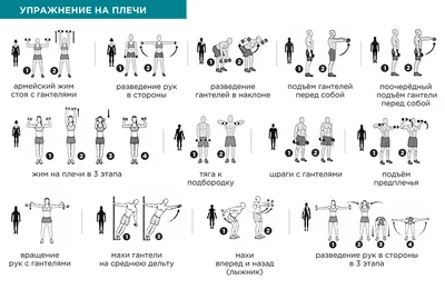 Комплекс упражнений с гантелями – какие упражнения делать, если под рукой  только свободные веса - Будьте здоровы! - Блоги - Sports.ru