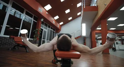 Упражнения с гантелями: техника и видео выполнения упражнений на все тело