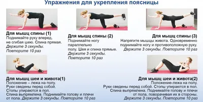 Упражнения для укрепления мышц спины