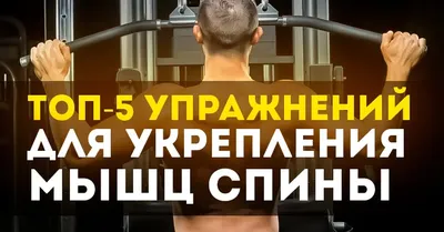 Топ-5 упражнений для укрепления мышц спины | Пикабу