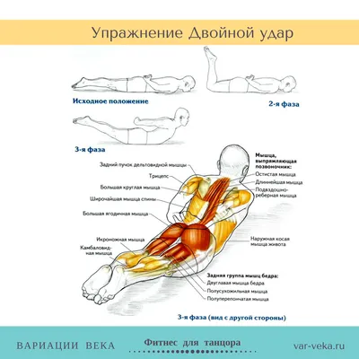 Упражнения на растяжку и укрепление мышц спины