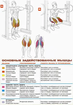 ЛУЧШИЕ УПРАЖНЕНИЯ С РЕЗИНКОЙ ДЛЯ НОГ И ЯГОДИЦ: УБИРАЕМ «УШКИ» И КАЧАЕМ  ВНУТРЕННЮЮ ЧАСТЬ БЕДРА | Арсений Воробьев | Дзен