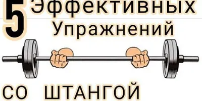 5 эффективных упражнений со штангой. Тренировка дома | Блоги |  Краснотурьинск.инфо