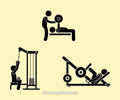 Тренировки в тренажерном зале для мужчин – Онлайн-журнал Льва Гончарова о  ЗОЖ и вредных привычках.
