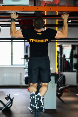 Упражнения на спину в тренажерном зале для новичков и профессионалов без  травм | Блог Spirit. Fitness