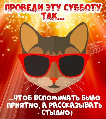 Картинки дни недели суббота с добрым утром прикольные | Субботы, Смешные  высказывания, Цитаты