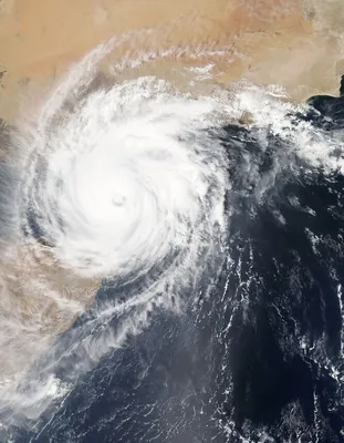 На Флориду идёт ураган Идалия: в штате объявлены эвакуация и режим ЧП -  ForumDaily