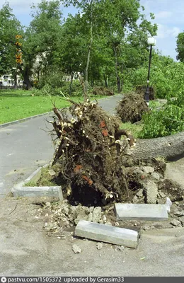 Водное бедствие в пустыне: ураган «Хилари» затопил города Калифорнии —  Новости мира сегодня NTDНовости мира сегодня NTD