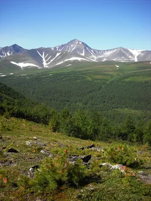 Уральские горы: 8 интересных фактов о знаменитых горах | Из Солнышка | Дзен