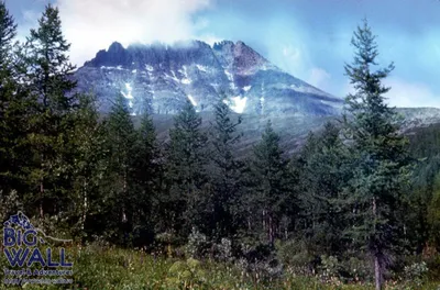 Наглядный пример изменения климата: за 100 лет \"лысые\" Уральские горы  поросли лесом | Пикабу