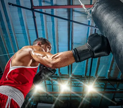 Sporty человек во время тренировки бокса Фото боксера на белой предпосылке  Стоковое Фото - изображение насчитывающей человек, приложения: 114562042
