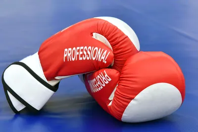 Тренировки по боксу для начинающих в Москве - Уроки бокса для начинающих в  Boxing-time