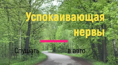 Нервы как канаты: снижаем стресс с релакс-комплексом | Здоровье | WB Guru