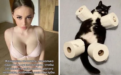 Стикер Мем кот устал наклейки NKS купить в интернет-магазине «Хочу!» |  Доставка по Москве и России