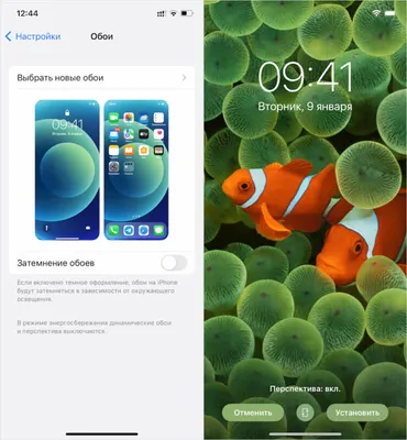 Где взять все обои из iOS 16 и установить их на свой iPhone |  AppleInsider.ru